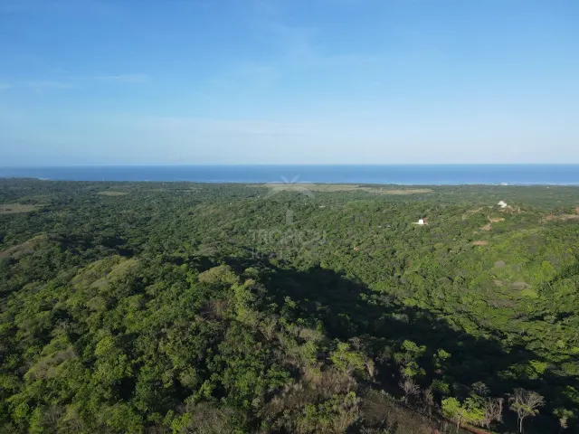 Natural Sanctuary for Sale Near Playa Negra – Two Titled Lots in Guanacaste
