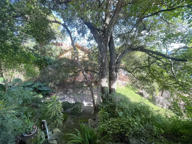 House in Alto Las Palomas single story with breathtaking Views and Lush Gardens