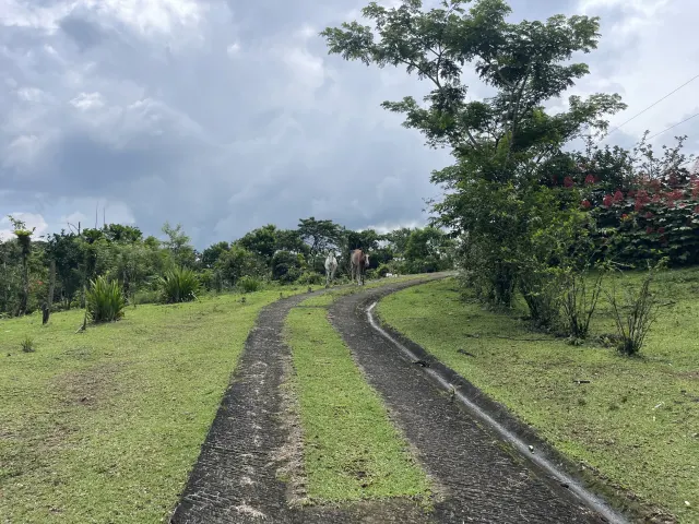 65-Acre Estate with Canopy Tour, Two Homes, horses, and Build-Ready Platforms