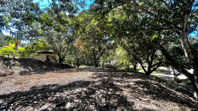 Commercial Mixed-Use Lot for Sale – Prime Location near Manzanillo Beach