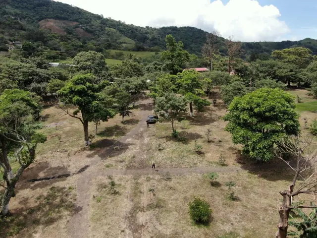 Prime 7.2-Hectare Estate in Santa Ana: Ideal for Family Living, Equestrian Facilities, or Spa Retreat