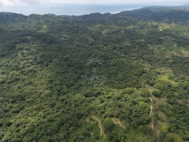 Premium Ocean View Development Estate in Cabuya – 58.6 Hectares with Infrastructure and Exceptional Potential