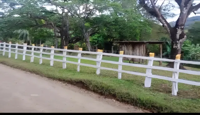 153-Hectare Ranch for Sale in Santa Cruz, Guanacaste – Natural Springs, Forest & Development Potential | $1,000,000
