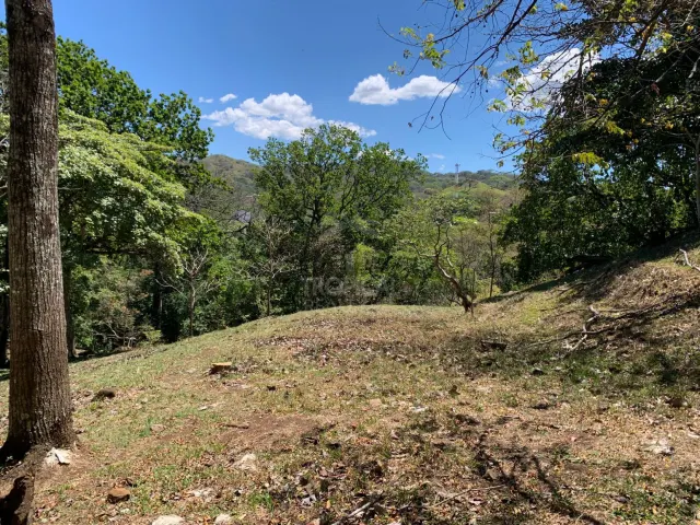 A view of sloped, grassy terrain surrounded by trees and green hills under a blue sky with light clouds.