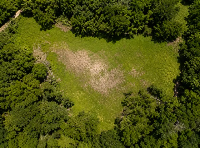 Exclusive Land for Sale in Las Delicias, Cóbano | 15,046 m² Surrounded by Nature and Protected Forest
