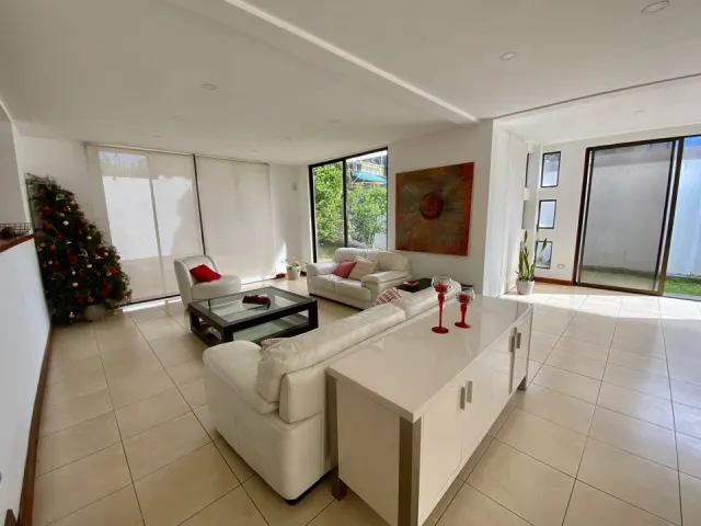 Bright living room featuring white leather sofas, a glass-top coffee table, a white console table, and a decorated Christmas tree in the corner.