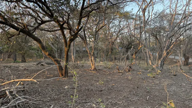 Unique Investment Opportunity – Beachfront Lot for Sale in Guanacaste