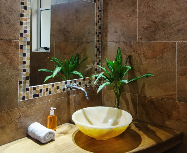 Prime Investment Opportunity: Luxurious Home in Santa Teresa