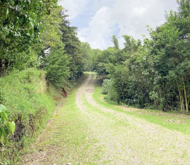 Building Plot in for sale Santa Elena, Monteverde