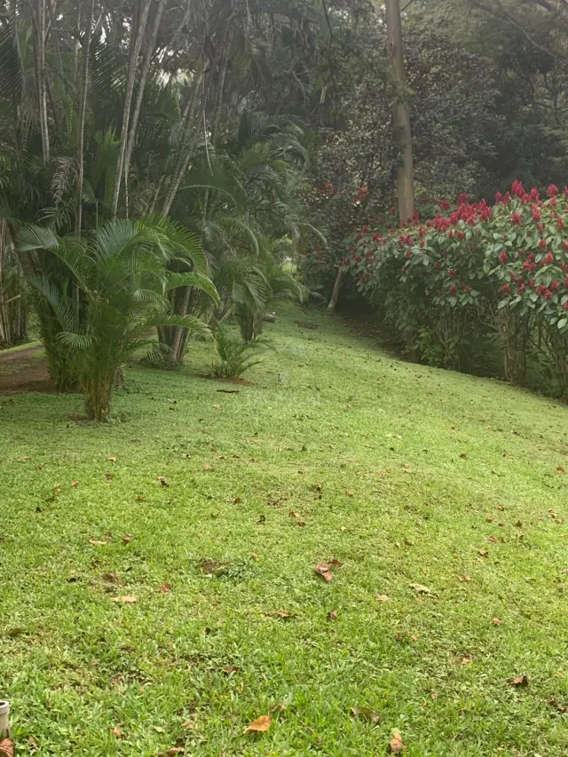 Farm for Sale in Turrúcares – Riverfront with Pools & Ecotourism Potential
