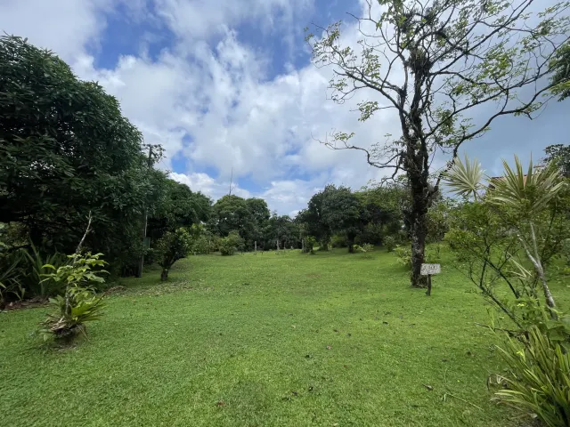 65-Acre Estate with Canopy Tour, Two Homes, horses, and Build-Ready Platforms