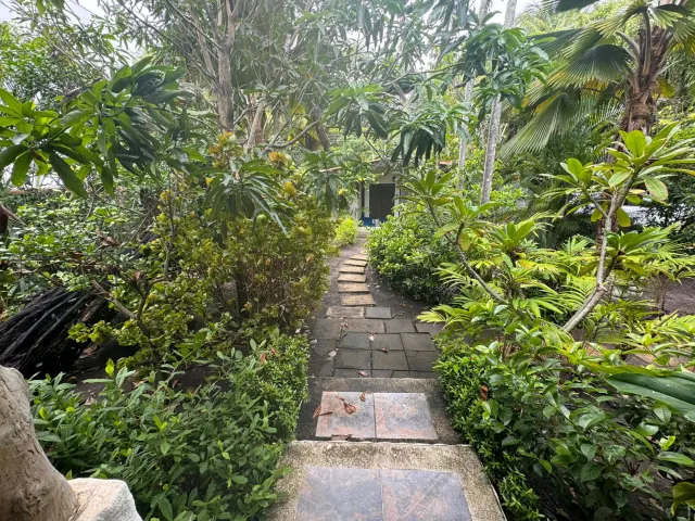 Beachfront house and apartments for sale Tivives