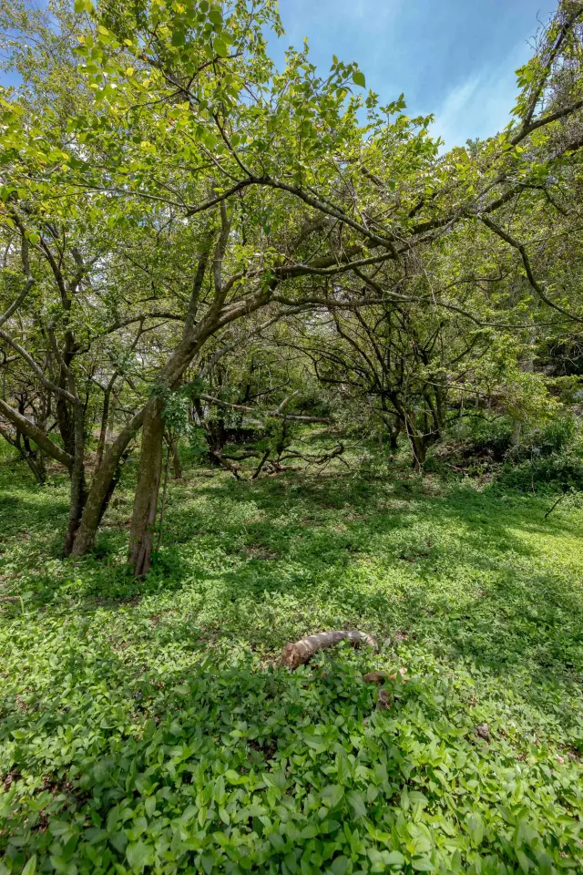 Residential Private Lush Lot in Rio Oro , Santa Ana