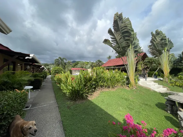 Concrete pathway flanked by green lawns, tropical foliage, and buildings with red tile roofs under an overcast sky.