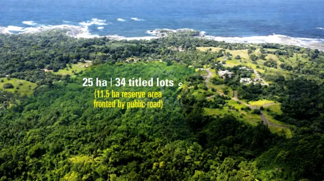 An aerial photograph showing a large expanse of green forest extending towards the ocean shoreline and rocky coast.