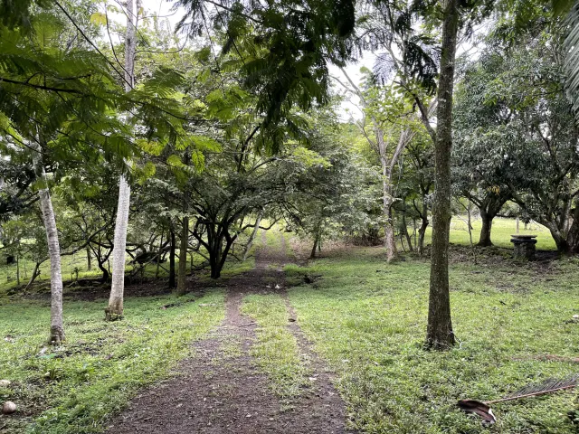 Development land for sale La Garita Alajuela 6.2 hectares