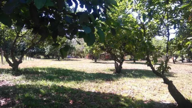 Nature Lover's Paradise: Unique Property with Two Homes on Expansive Land
