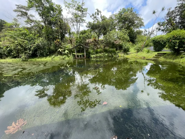 65-Acre Estate with Canopy Tour, Two Homes, horses, and Build-Ready Platforms