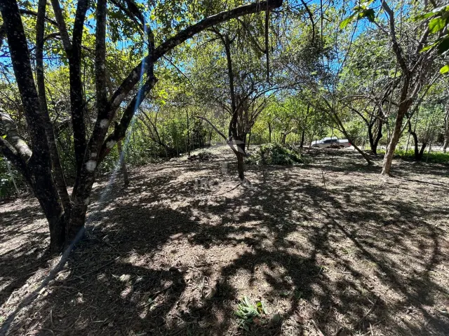 1000m² Lot for Sale in Las Delicias de Cobano: Your Coastal Oasis in Costa Rica.