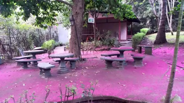 Commercial / Institutional Property for Sale in Río Oro, Santa Ana