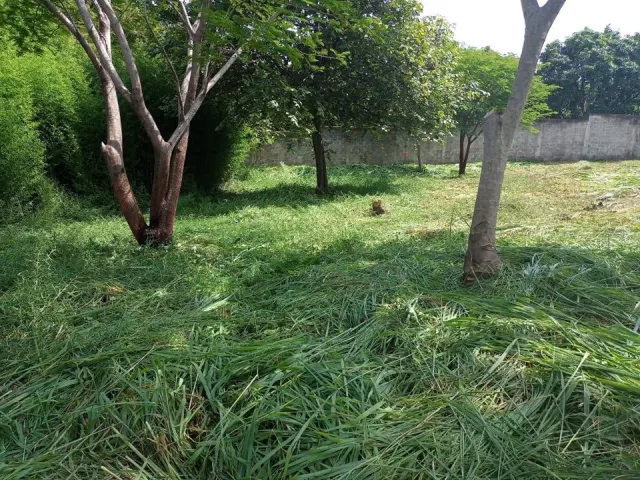 Rare Opportunity: Flat 2518m2 Land for Sale in Santa Ana with 34m Frontage