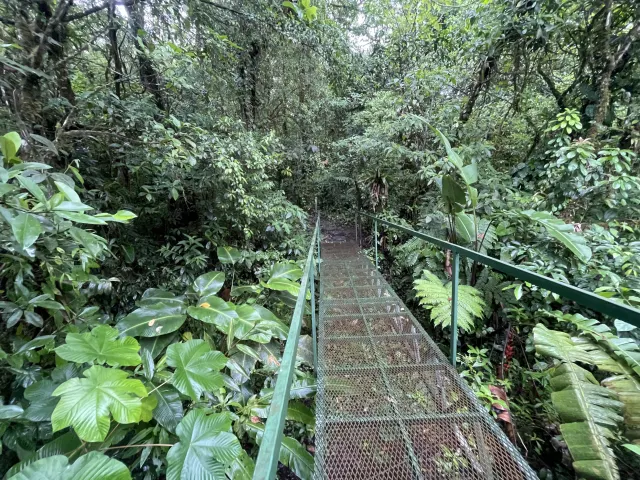 65-Acre Estate with Canopy Tour, Two Homes, horses, and Build-Ready Platforms