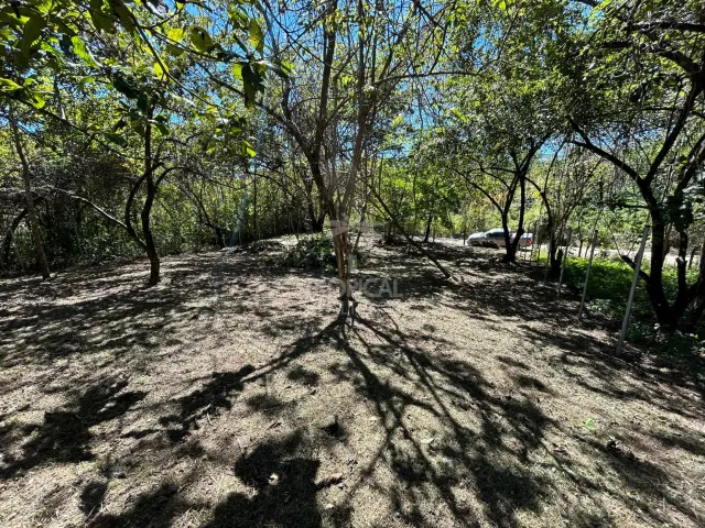 1000m² Lot for Sale in Las Delicias de Cobano: Your Coastal Oasis in Costa Rica.