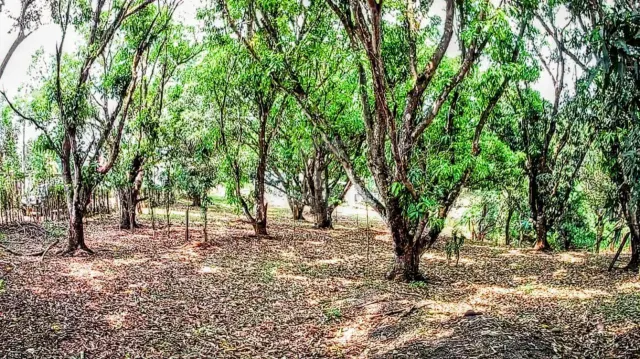 Strategic 1,312 m² Lot for Sale – Orotina, Alajuela | Frontage on Route 27