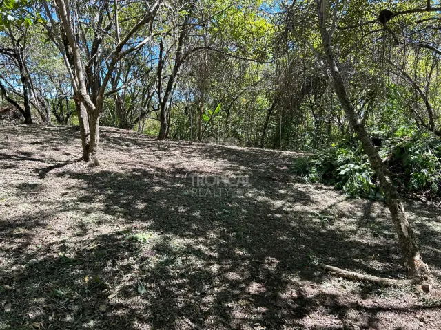 1000m² Lot for Sale in Las Delicias de Cobano: Your Coastal Oasis in Costa Rica.