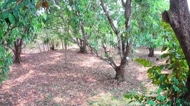 Strategic 1,312 m² Lot for Sale – Orotina, Alajuela | Frontage on Route 27