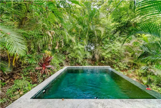 Luxury Ocean View Estate in Santa Teresa – Privacy, Nature and Investment Potential