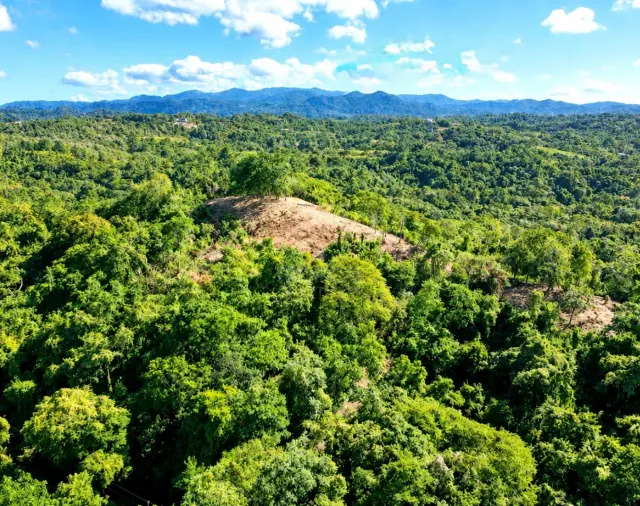 Aerial view showing dense green forest with a cleared hill area and distant mountains under a blue sky.