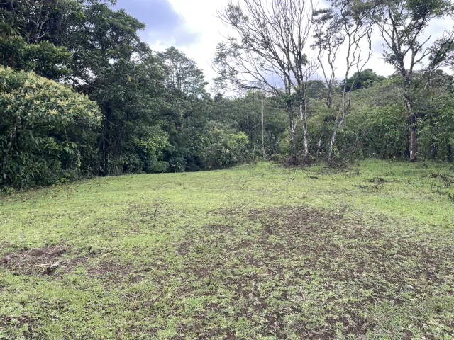 65-Acre Estate with Canopy Tour, Two Homes, horses, and Build-Ready Platforms