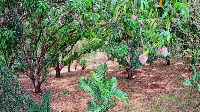 Strategic 1,312 m² Lot for Sale – Orotina, Alajuela | Frontage on Route 27