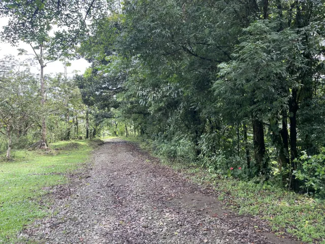 65-Acre Estate with Canopy Tour, Two Homes, horses, and Build-Ready Platforms