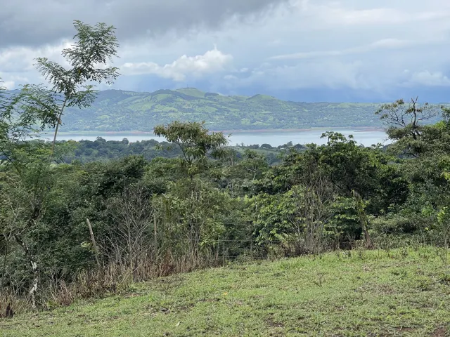 65-Acre Estate with Canopy Tour, Two Homes, horses, and Build-Ready Platforms
