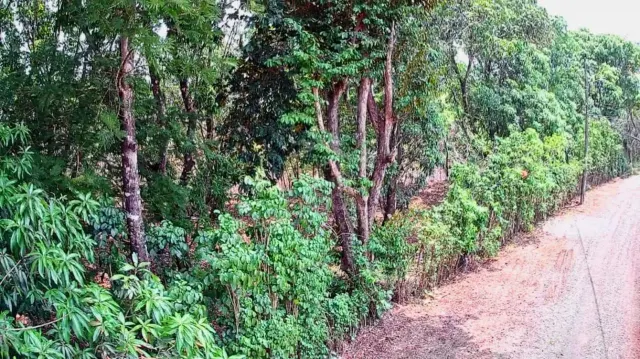 Strategic 1,312 m² Lot for Sale – Orotina, Alajuela | Frontage on Route 27