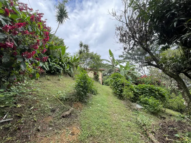 Brasil De Mora detached home for sale