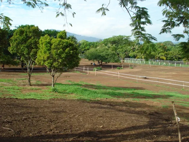 An open dirt lot enclosed by white post-and-rail fencing, dotted with trees and surrounded by distant green hills.