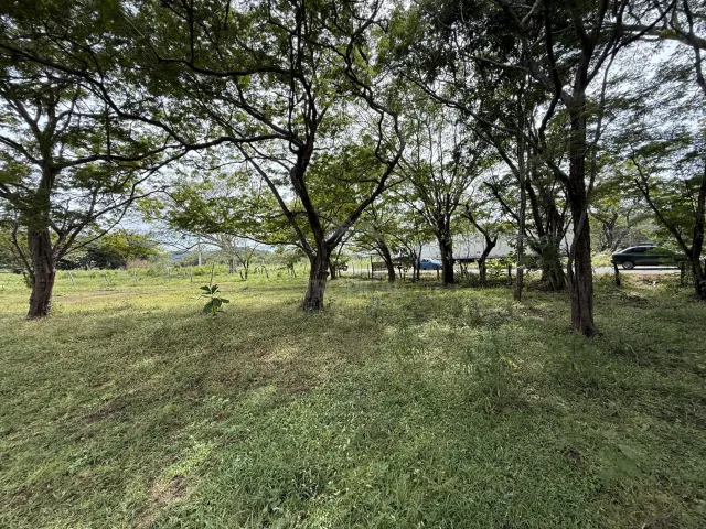 Villa Real Near Tamarindo – lot for sale
