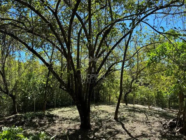 1000m² Lot for Sale in Las Delicias de Cobano: Your Coastal Oasis in Costa Rica.