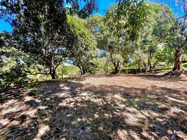 Commercial Mixed-Use Lot for Sale – Prime Location near Manzanillo Beach
