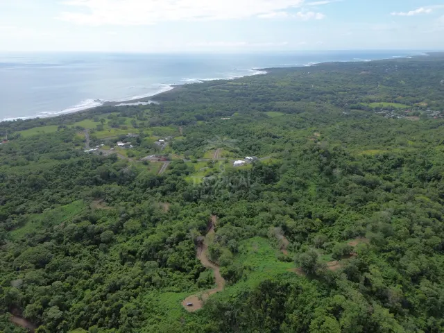 High angle aerial view showing dense green forest extending toward the coastline with the open sea in the background.