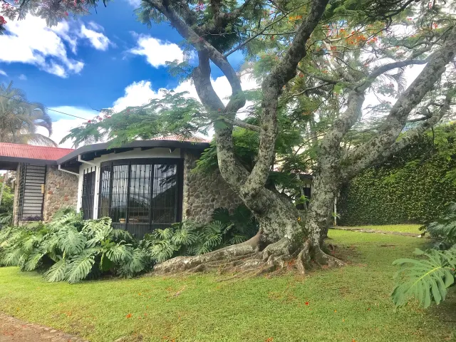 Independent House for Sale in San Antonio de Escazu.
