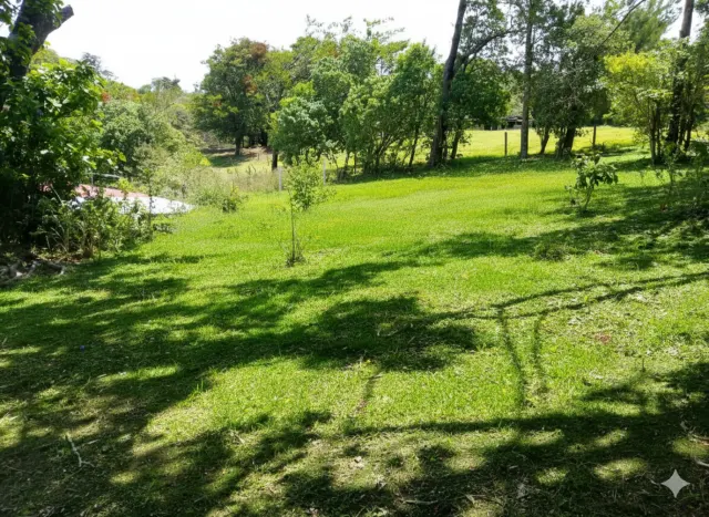 Building Plot in for sale Santa Elena, Monteverde