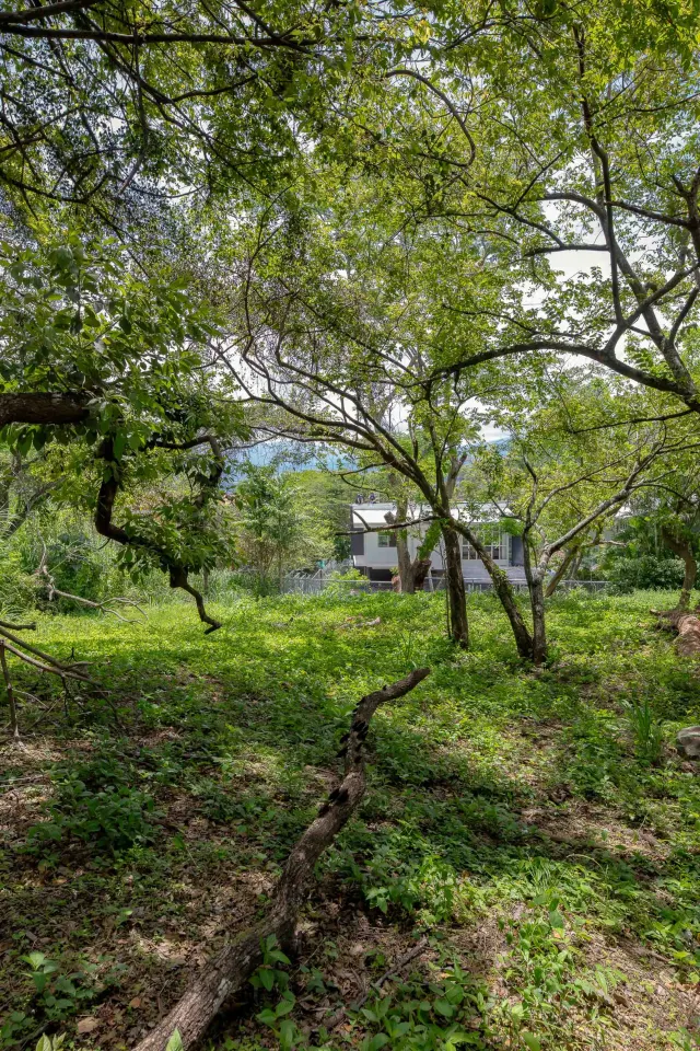 Residential Private Lush Lot in Rio Oro , Santa Ana