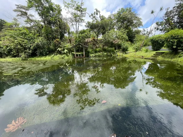 65-Acre Estate with Canopy Tour, Two Homes, horses, and Build-Ready Platforms