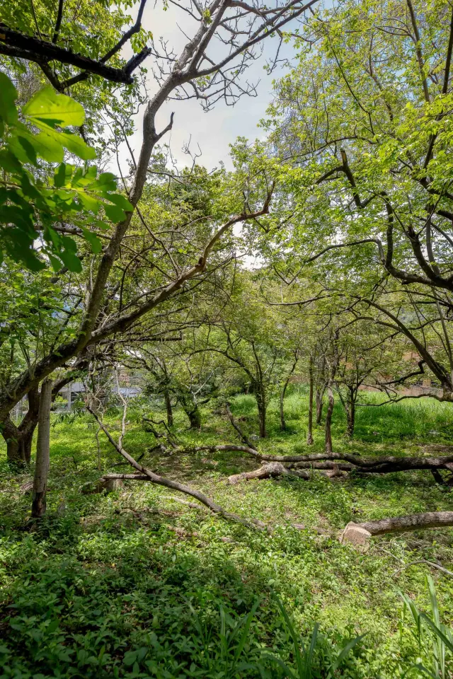 Residential Private Lush Lot in Rio Oro , Santa Ana