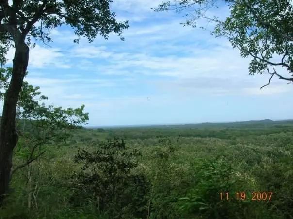 Secluded Paradise: Expansive Lot with Panoramic Sea Views in San Antonio Estates, Pinilla