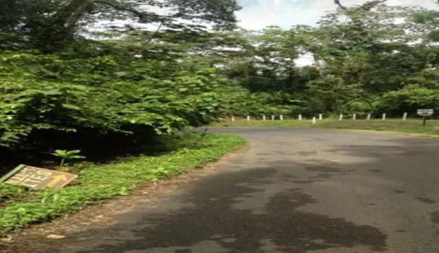 Exclusive Property in Arenal, Costa Rica – 20.3 Hectares with Volcano and Lake Views